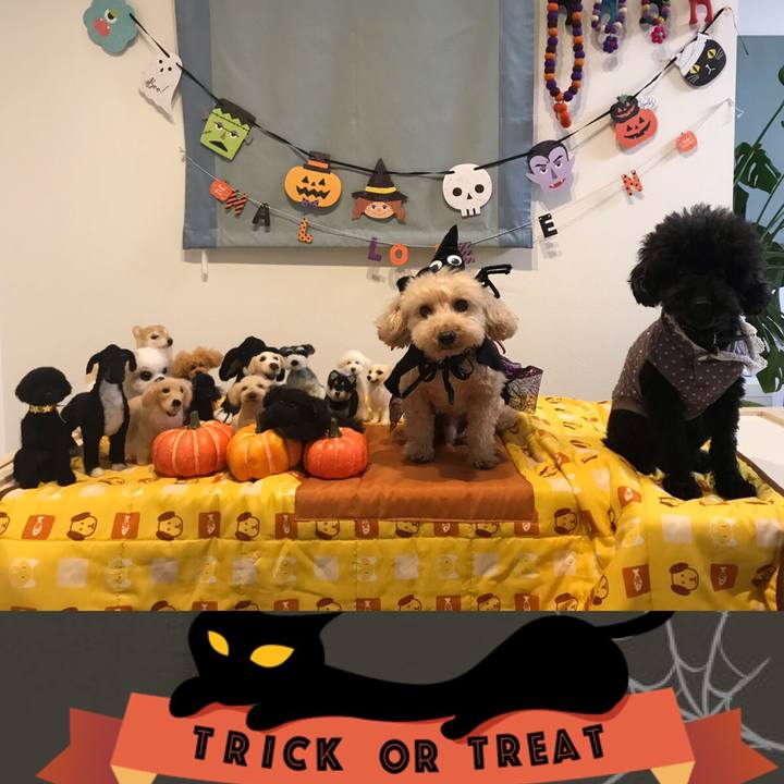 49eb26e6 22f3 46d0 bf82 1d5c2b95935e 1540899376553