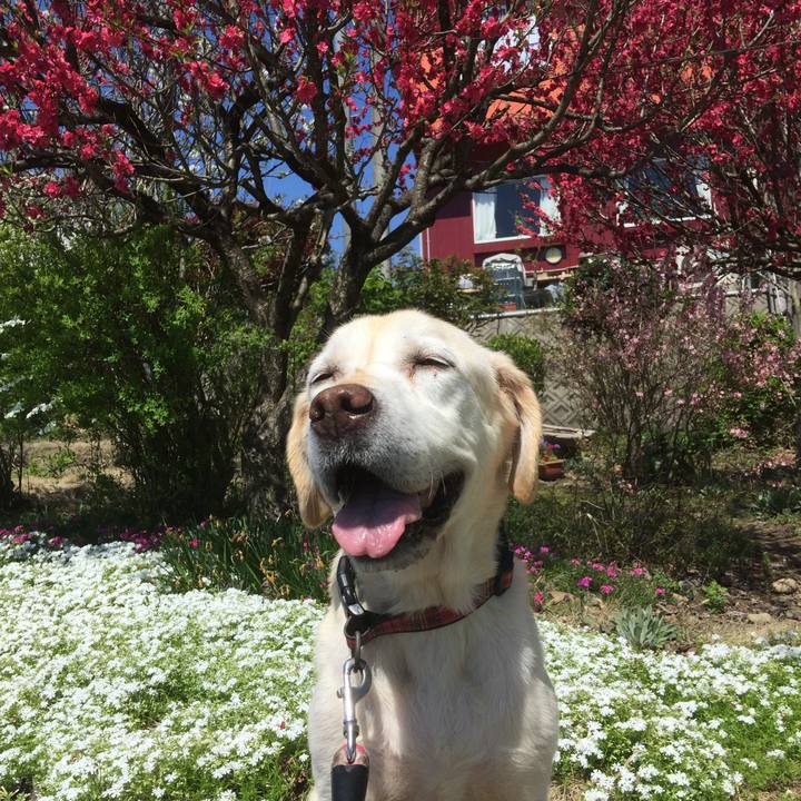 49eb388a a021 4045 980c 8da24ff027ac 1713159875447