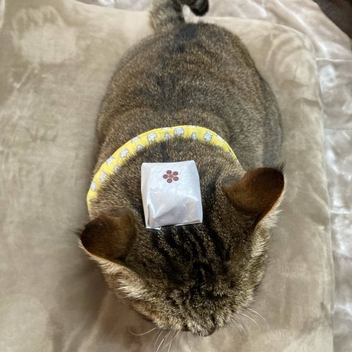 49eb4c6f bbae 49be a18b 4dc2b553626e 1642641181351