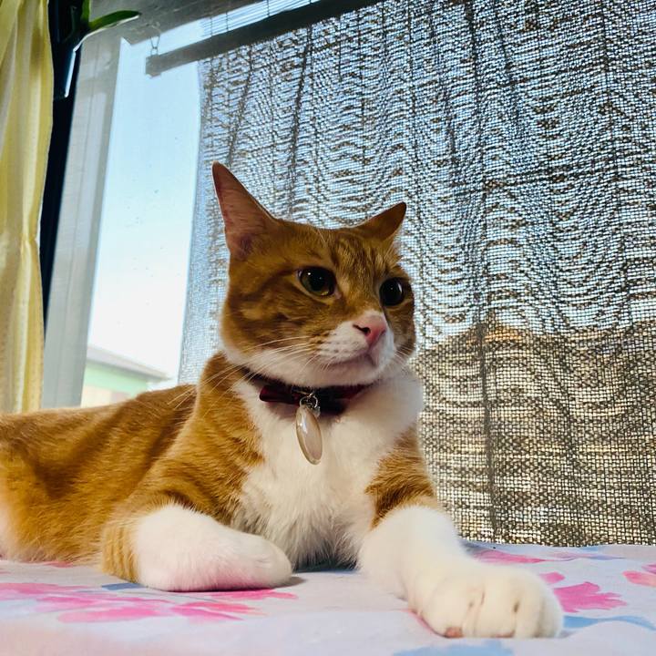 49eb9f37 3b2a 479b 9eba 9030e7f18374 1694212543057