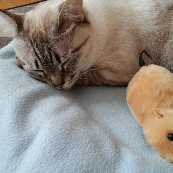 49eba395 ec4f 4938 a651 08ba17e4bc86 1512353998056