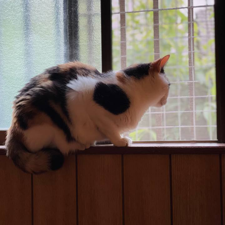 49ebc640 9174 4c12 a284 a31d8ec7b3df 1629420170212