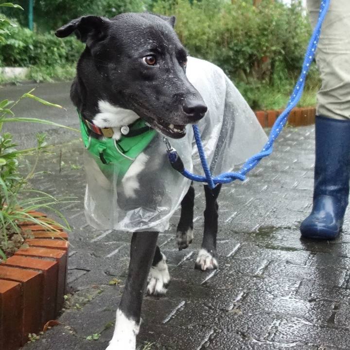 49ebeaad 7b40 4109 b762 84f33db9a39f 1594941875621