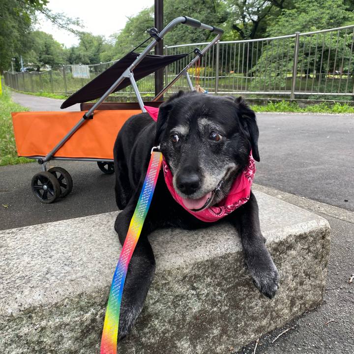 49ec0270 333b 48c7 ad45 a963333a5923 1686791322697