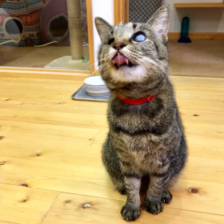 49ec5b4b c463 49a9 9959 12879551257d 1556848625347