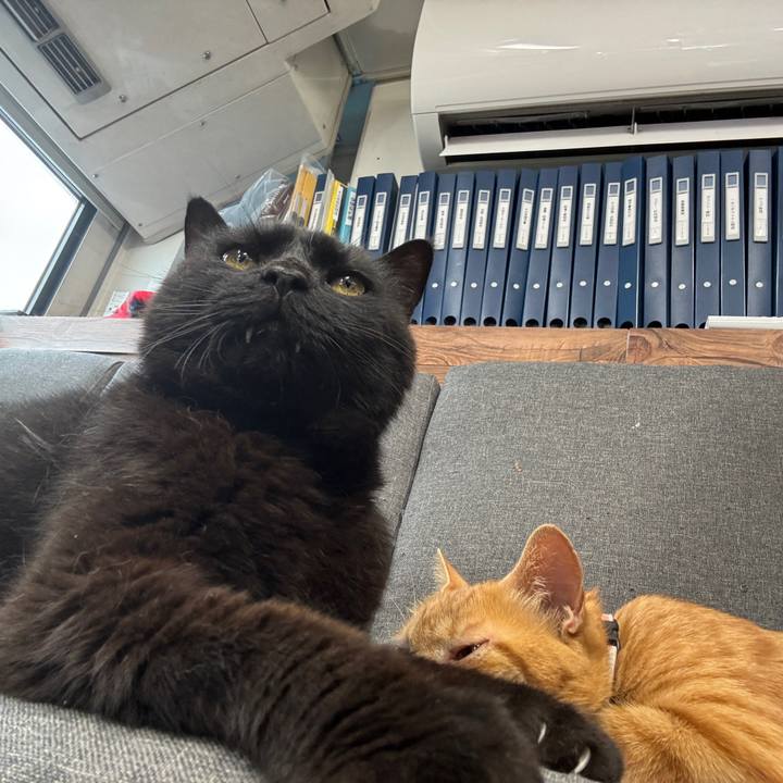 49ec83ce c1f1 4a03 a115 8aa915d74b0c 1753596687656