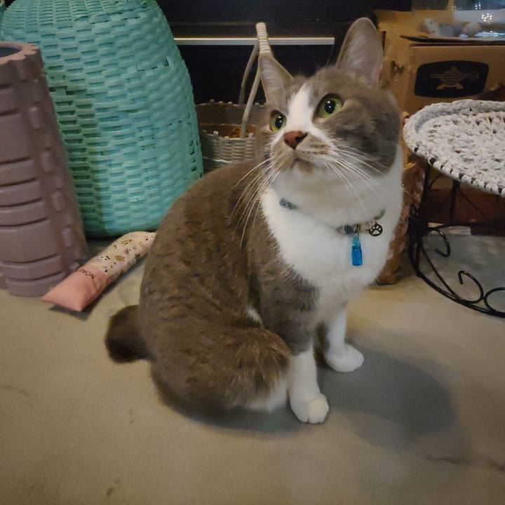 49ece9bf cdc6 4d06 98f9 2fff5af7a4b5 1679954499372