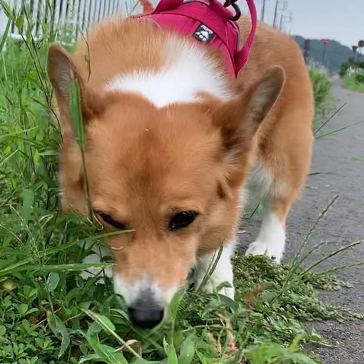 49ecf432 9282 496f b92b 292b8fe9f4d5 1661991837522