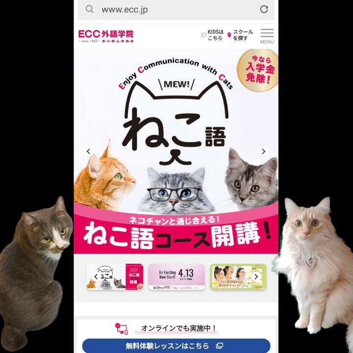 49ed3cc3 7500 4b7f 9f2f 6be6317eb6d6 1680351267681