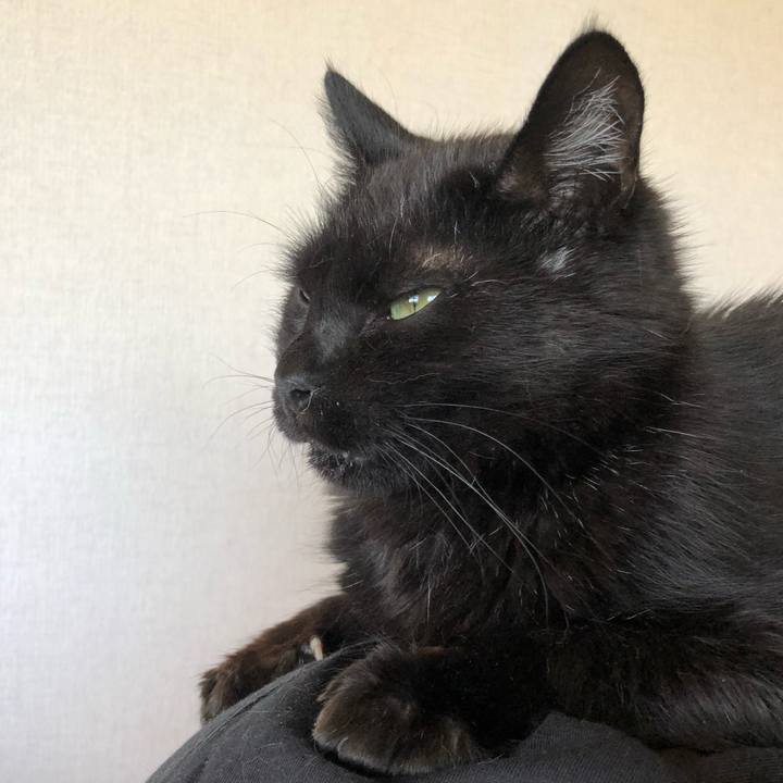 49ed45e3 69e8 43bb a5d1 2500d31bd66f 1623563667832