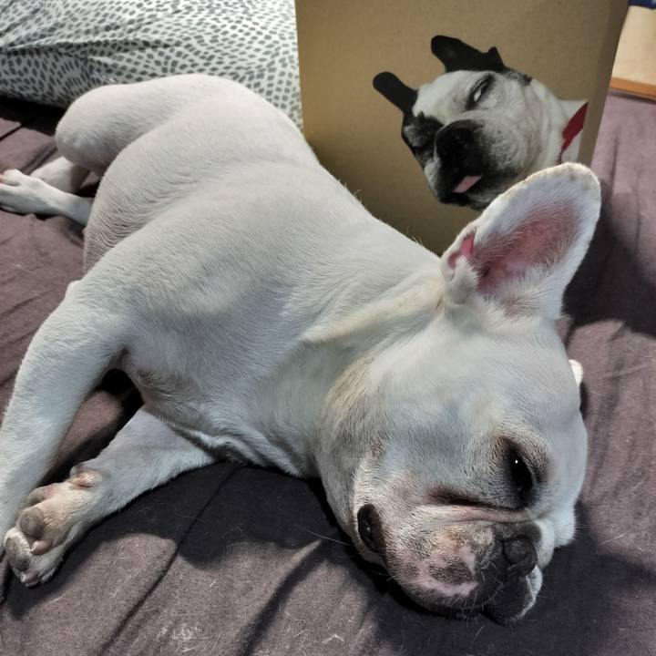 49ed4885 d213 48b6 858c 8647da8ffed0 1683627900941