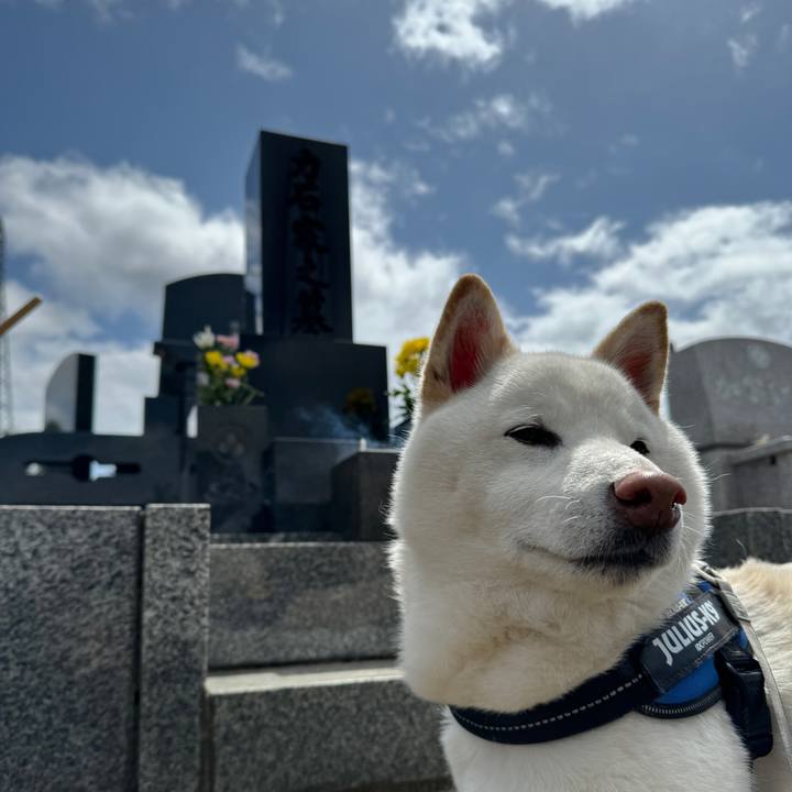 49ed6660 af9b 48f6 bb3d 7ecd2c621d55 1713517297143