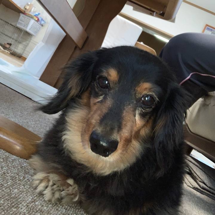 49ed7d37 f7a6 415f 96e2 202e2d524530 1559858508471