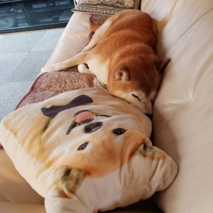 49ed7e6b 744f 4ac6 a138 04ba9445362d 1637708556316