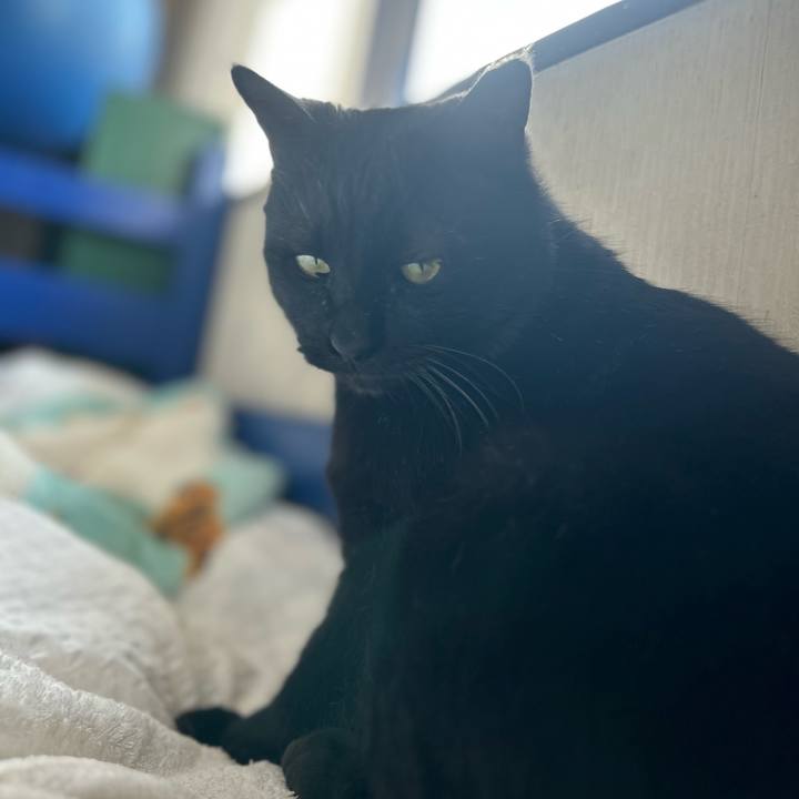 49ed8f6d 5610 4033 a230 e15e15189f62 1743241048474