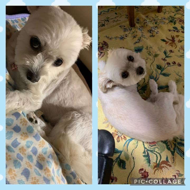 49edd9cc 7e67 453c b9b7 444b295227a9 1629704450098