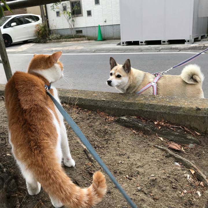 49edea75 345f 4cfd 9a7e e625cbed9e58 1512876306947