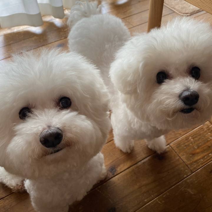 49ee38db 408a 4aae 8f35 21bbc0fcd279 1658375750675