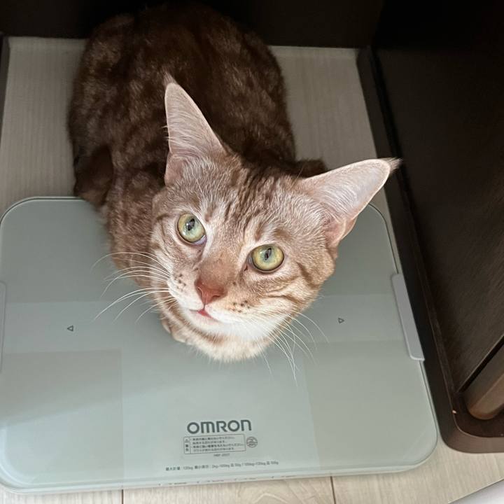 49ee4258 4199 4287 a8d3 915b812861f5 1676674553908