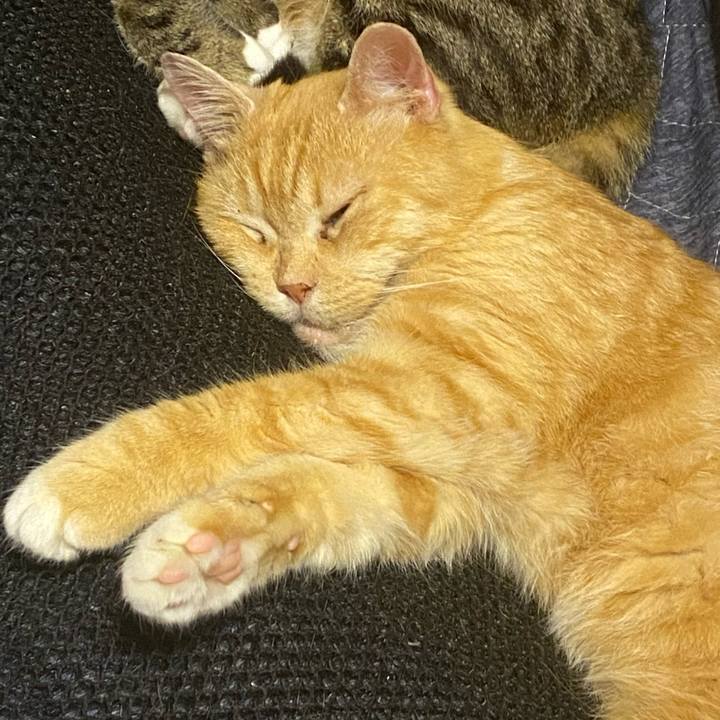 49ee8029 1227 4d5f b092 7ea007bc3b78 1621253357371