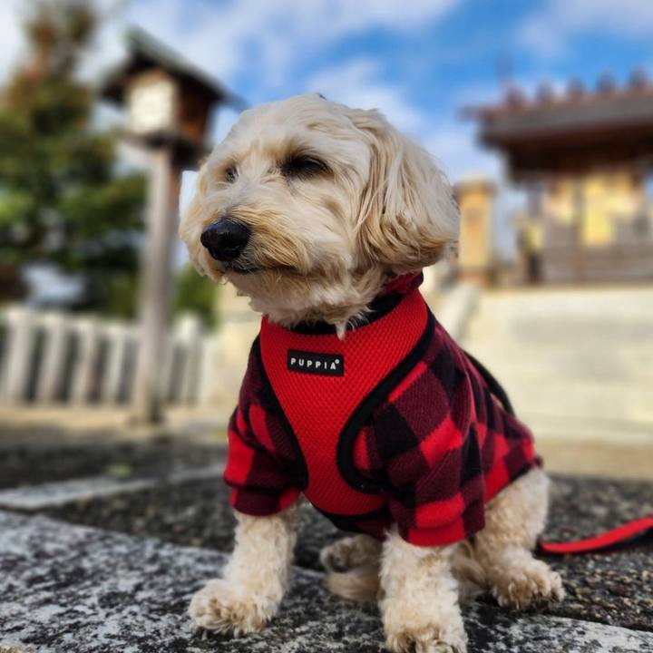 49ee945b 90b0 423a 9333 8caff03344ee 1766459774428