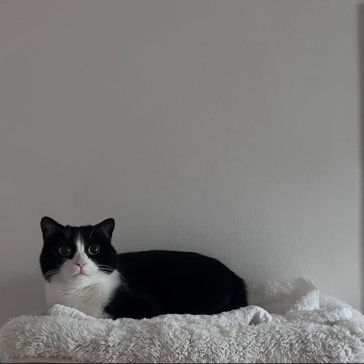 49ef05b8 acb0 4479 a3e9 ee77329e6f72 1735460197584