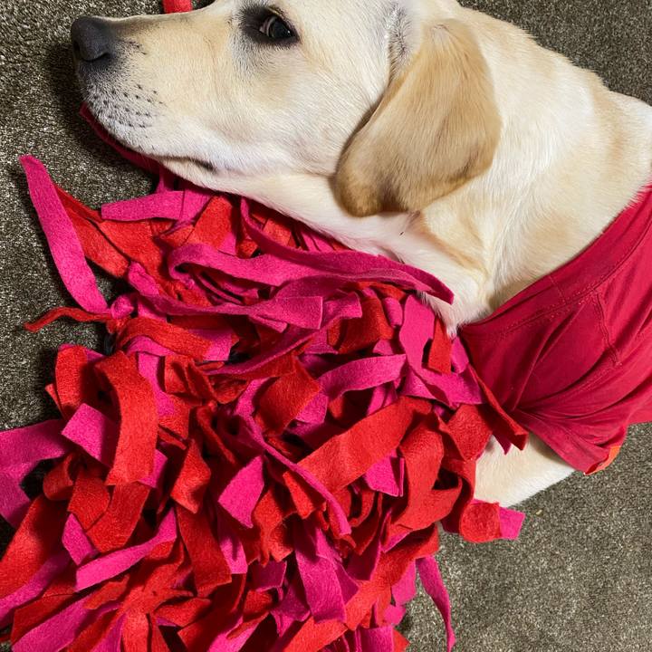 49ef2ad0 ae86 4b21 856e 7a0280cf7c7d 1618497941359