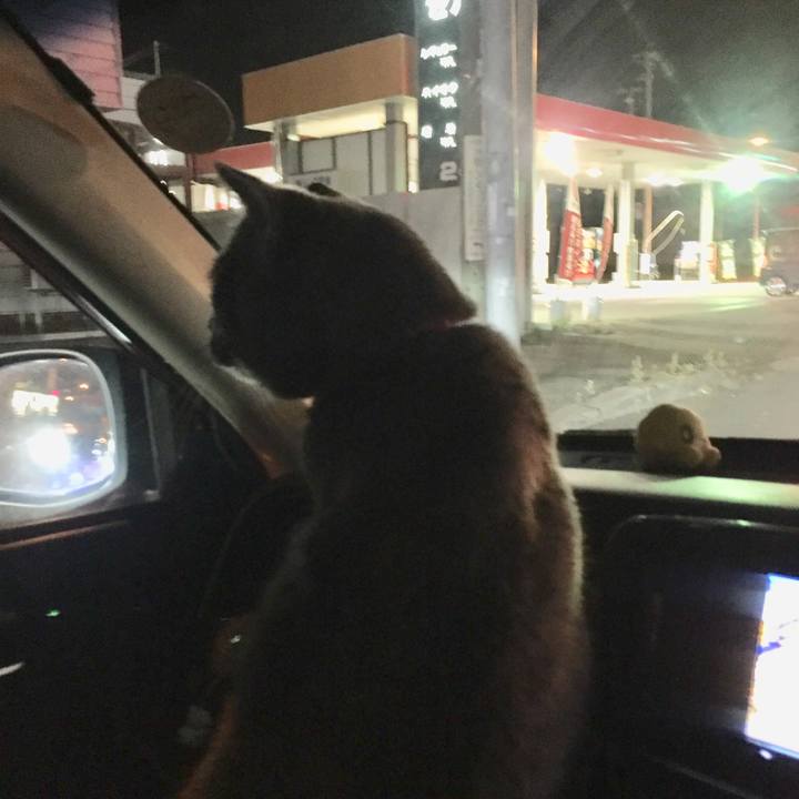 49ef3439 6a0c 41a1 ab30 cef6bd656bb5 1538654207377