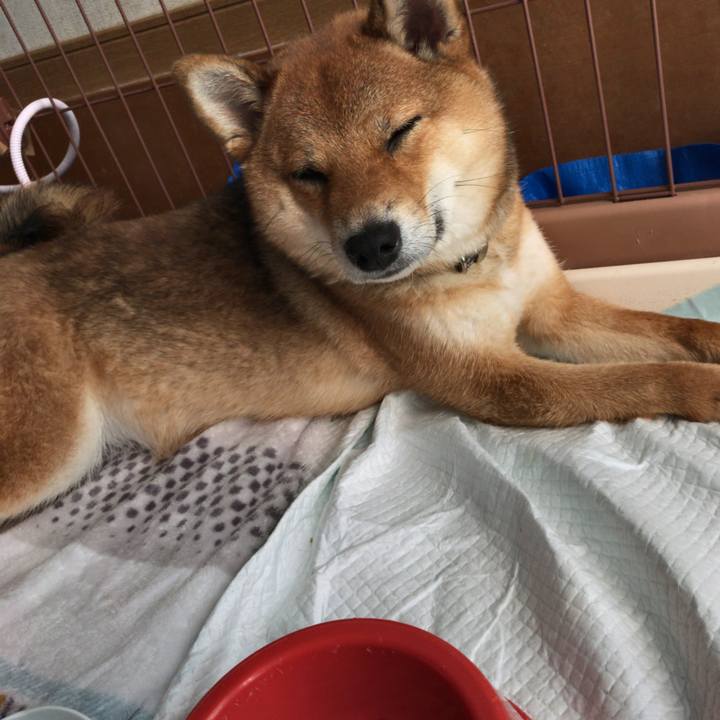 49ef5e8e f56a 44bf 9175 29536842055f 1524525330178