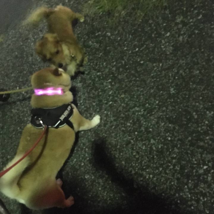 49ef8364 c891 4102 81b9 fe3360db5eac 1596625706510