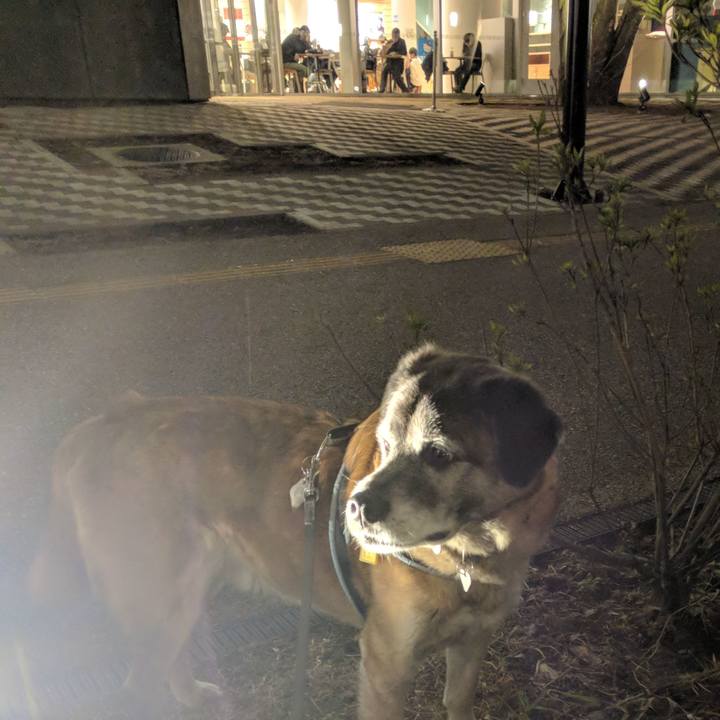 49efe09f 8ace 4b18 acbf 8215e9214a23 1550676331287