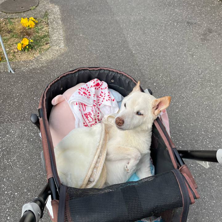 49f003c6 bf9b 4cbd ba39 e63f9a5b2a99 1678269413357