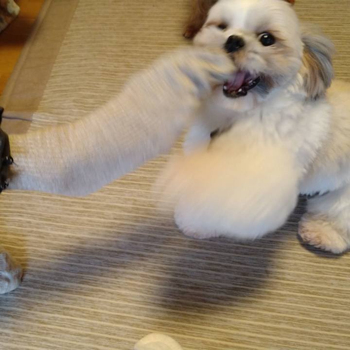 49f022ec 64f7 4949 9c73 0e5f6ab8122c 1613527800831