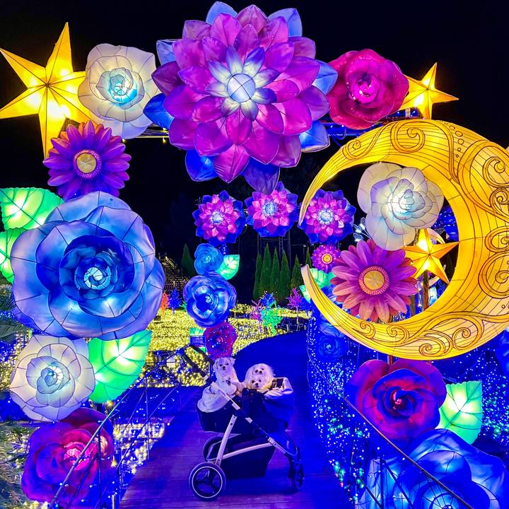 49f02ec7 96e0 4555 af91 a43d6b079a5b 1672230199299