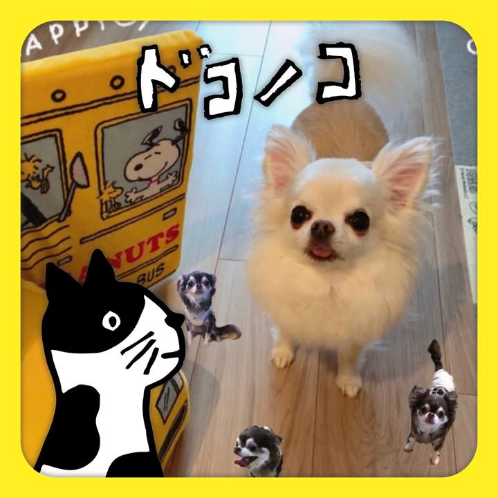 49f03107 5503 417e bb7e 68572617b623 1623198573795