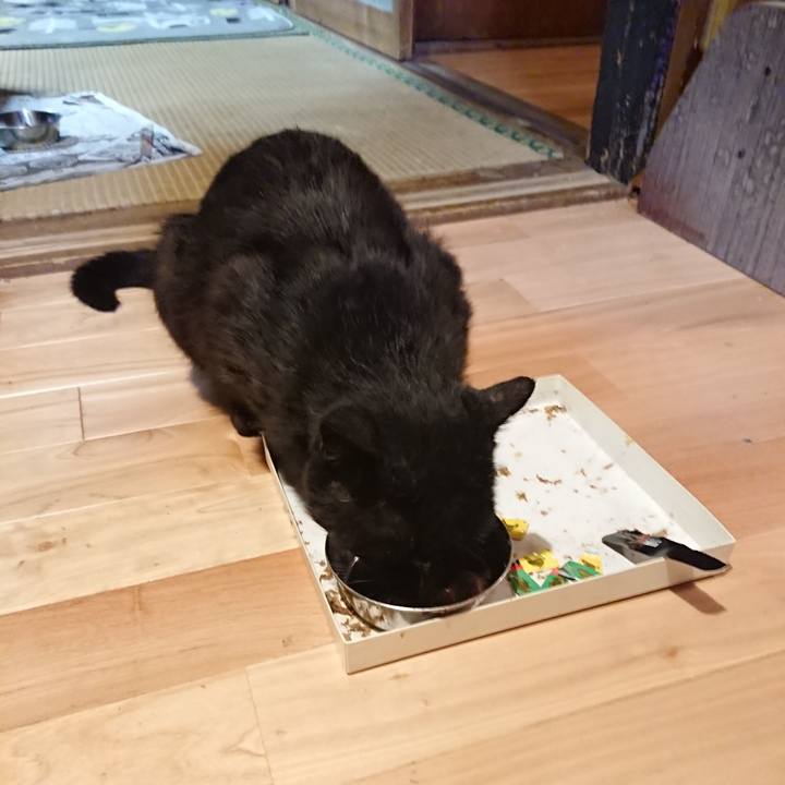 49f067e1 3412 48ff aa4c dea86014ea04 1623761385847