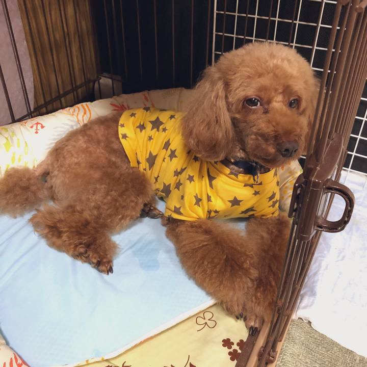 49f07f3c d053 4396 b2e8 c1aa74e98112 1563438704559