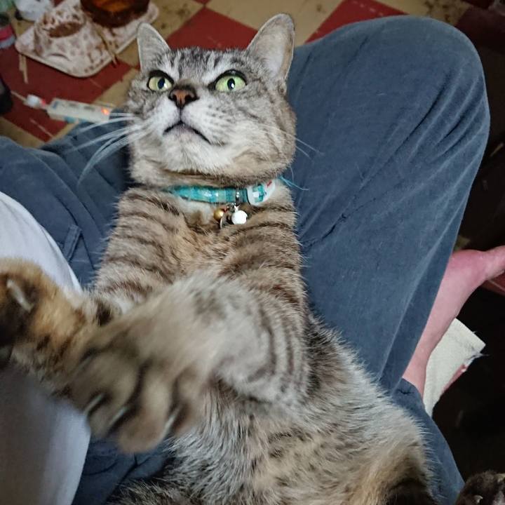 49f0bcf3 6d32 4196 8051 b85aaa8a1833 1559128576766