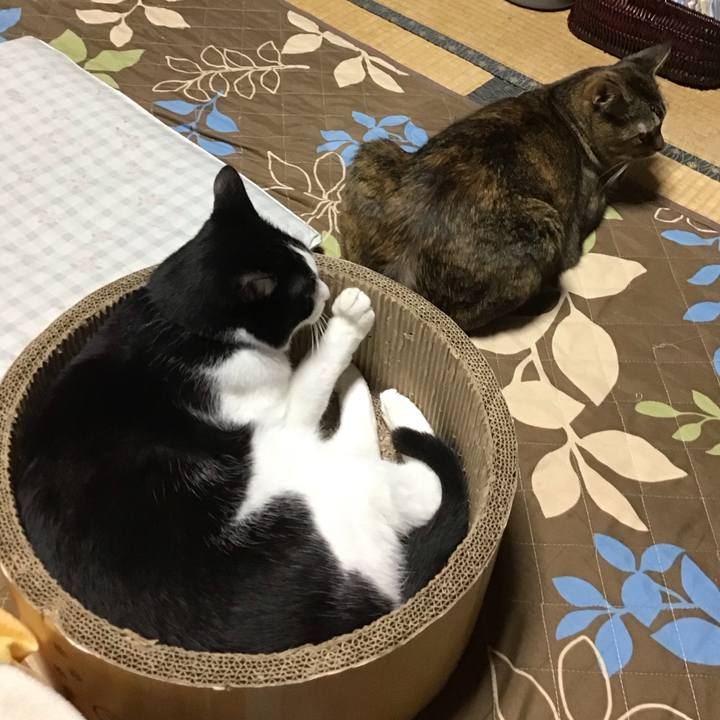 49f0f678 71ee 4148 8577 38ccfb324f92 1762766833693