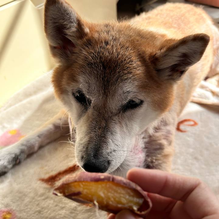 49f105de 64bc 474d 857d 249f7b4fec7c 1763176549137