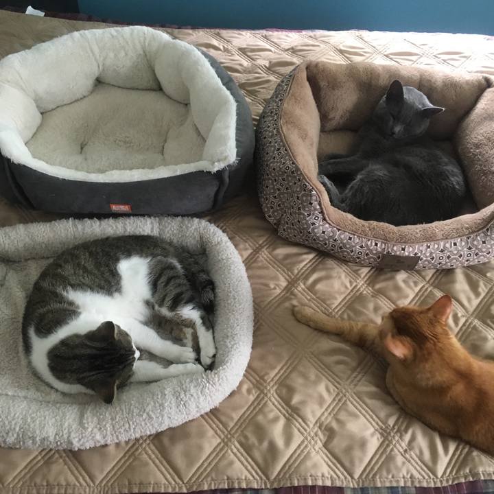 49f141d5 dcae 4990 a536 2ad4f5cece5e 1624892967621