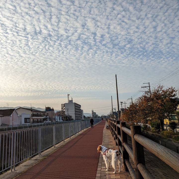 49f149e8 3561 45fe bba3 098ac3910cea 1667518068300