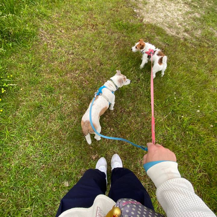 49f152f7 0529 4915 85b5 c36026a57ebc 1716071963692