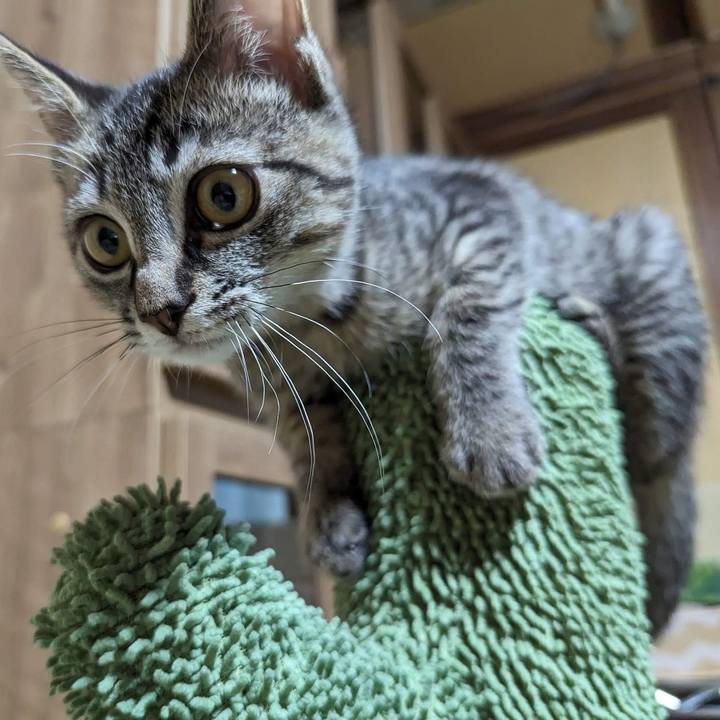 49f16140 86df 4056 8495 388b7d93453b 1702107778532