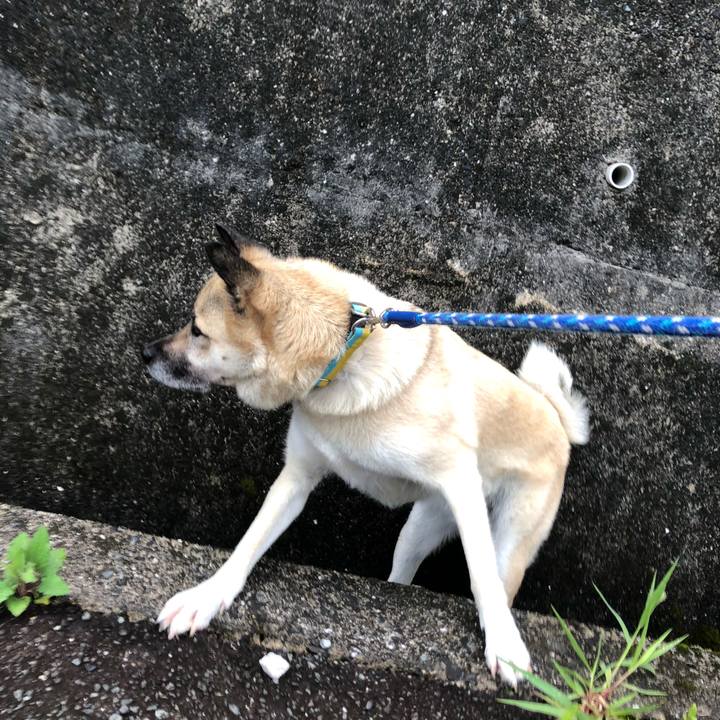 49f16368 6f22 4e9b baa6 ce139be19686 1625311570270