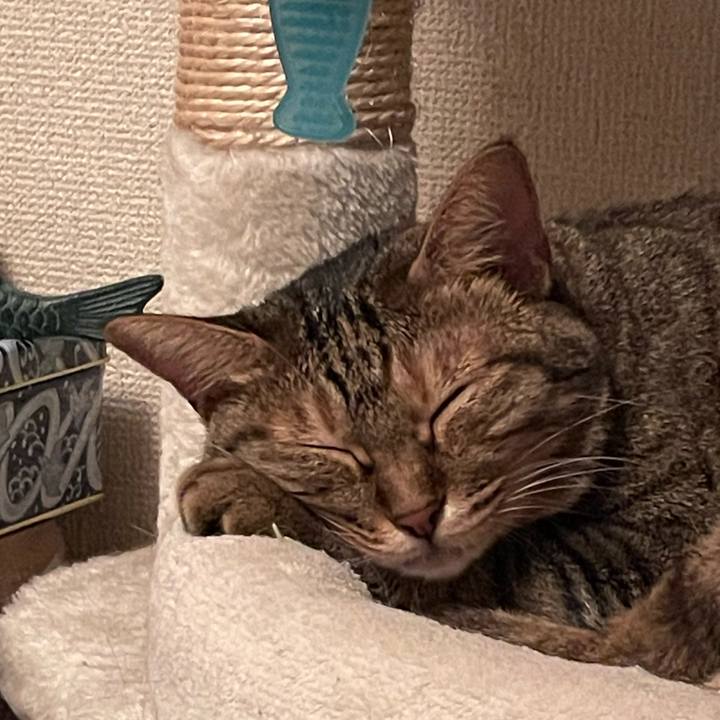 49f16fea 0e9e 4d7b a0b0 d9ee8ac62079 1659875567505