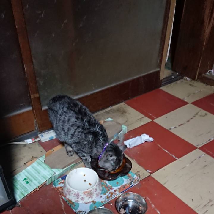 49f18056 4a40 46e6 be1e ece4fddd6bbe 1579463687928