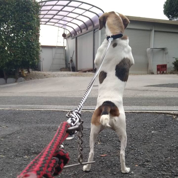 49f1aa1a 3a1f 4e98 9b54 2f1242ddeba7 1634371888314