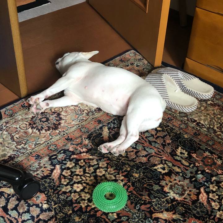 49f206bb 9967 4f7a b864 e55d36671439 1630116337571