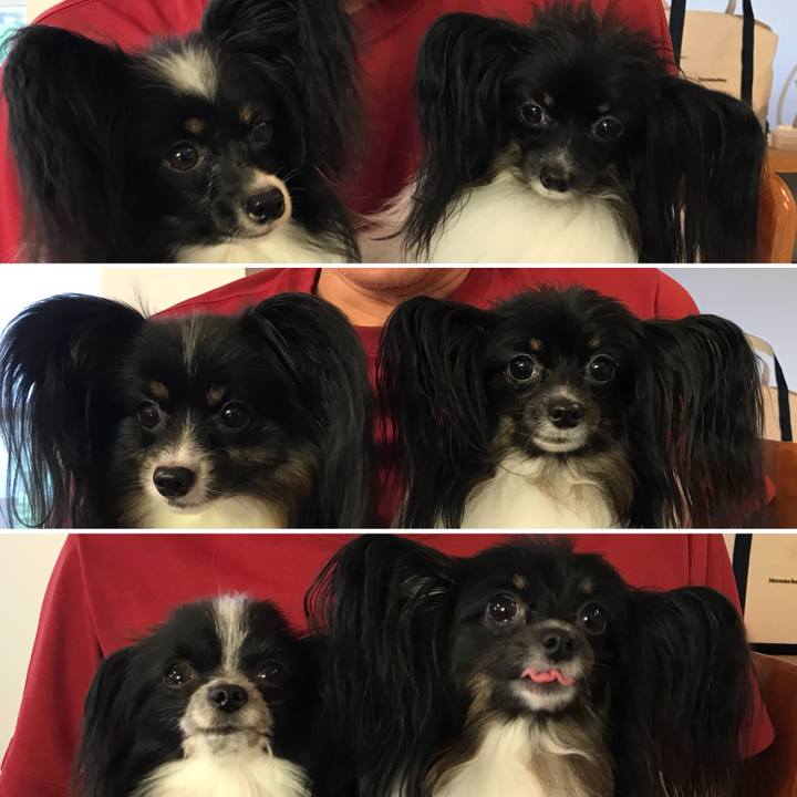 49f208aa a2bc 48d4 8959 77598f7d6bc9 1535287571332